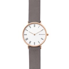 ساعت مچی اسکاژن SKW2674 - skagen watch skw2674  
